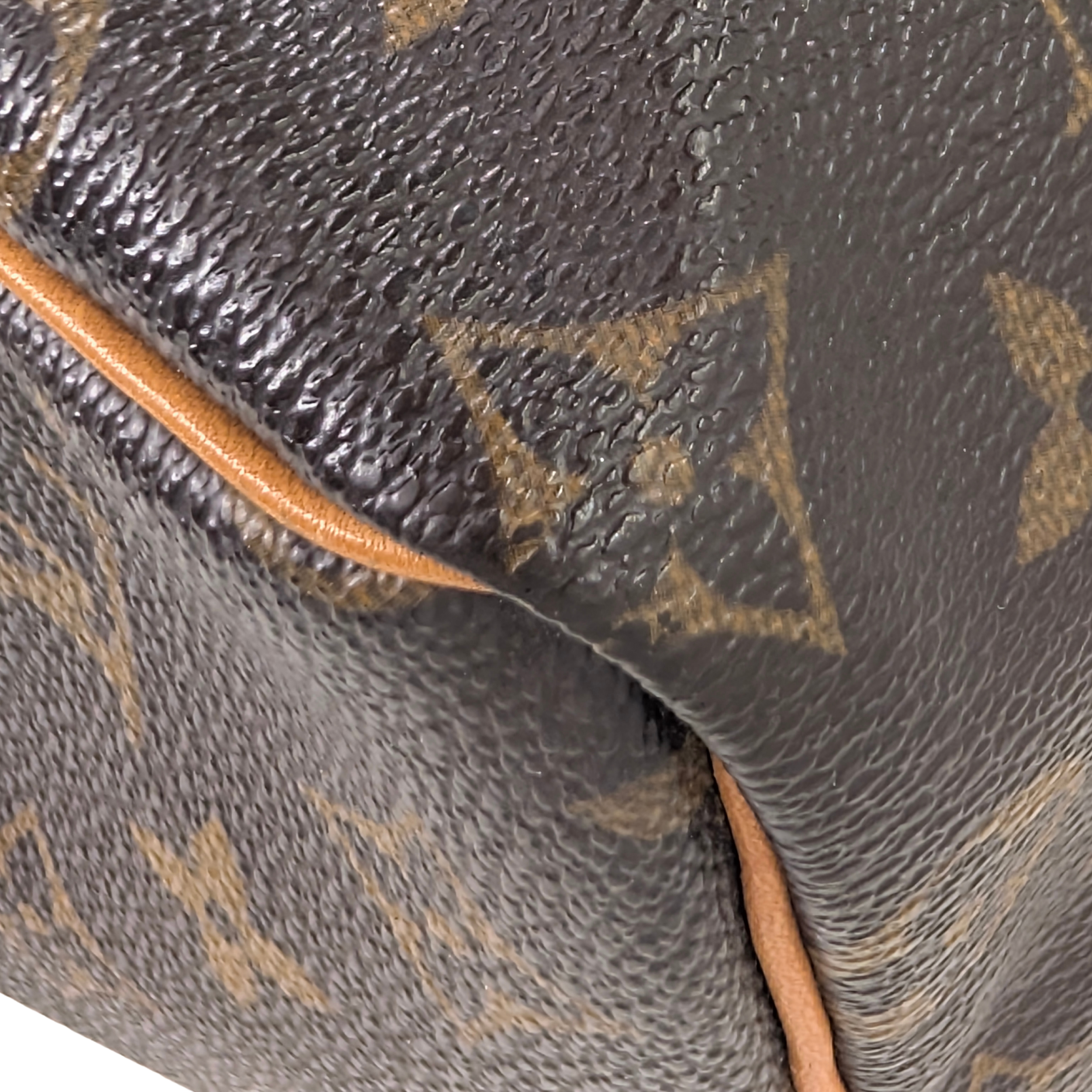 Louis Vuitton Speedy 25 Monogram Handbag