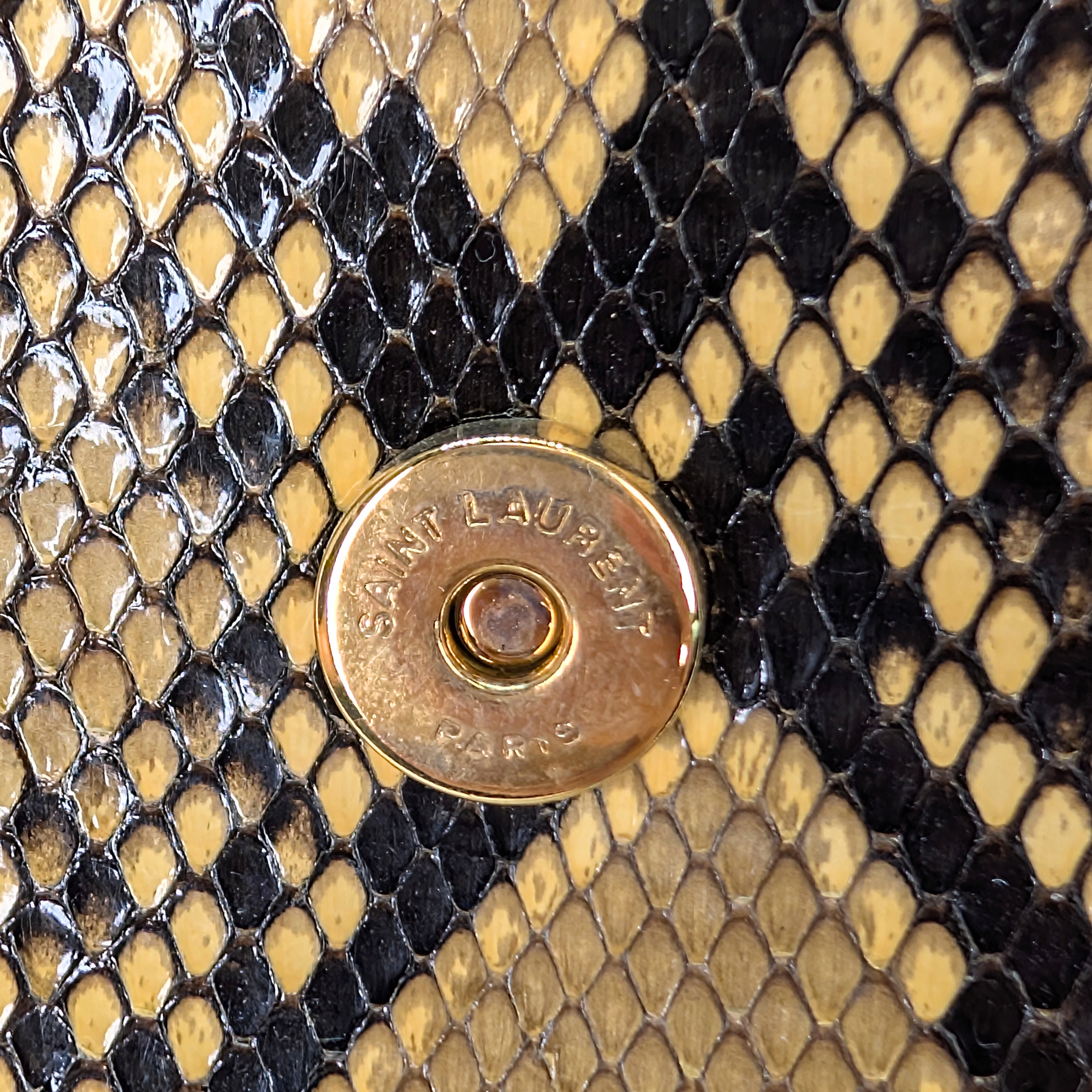 سان لوران كايه بايثون صغير
