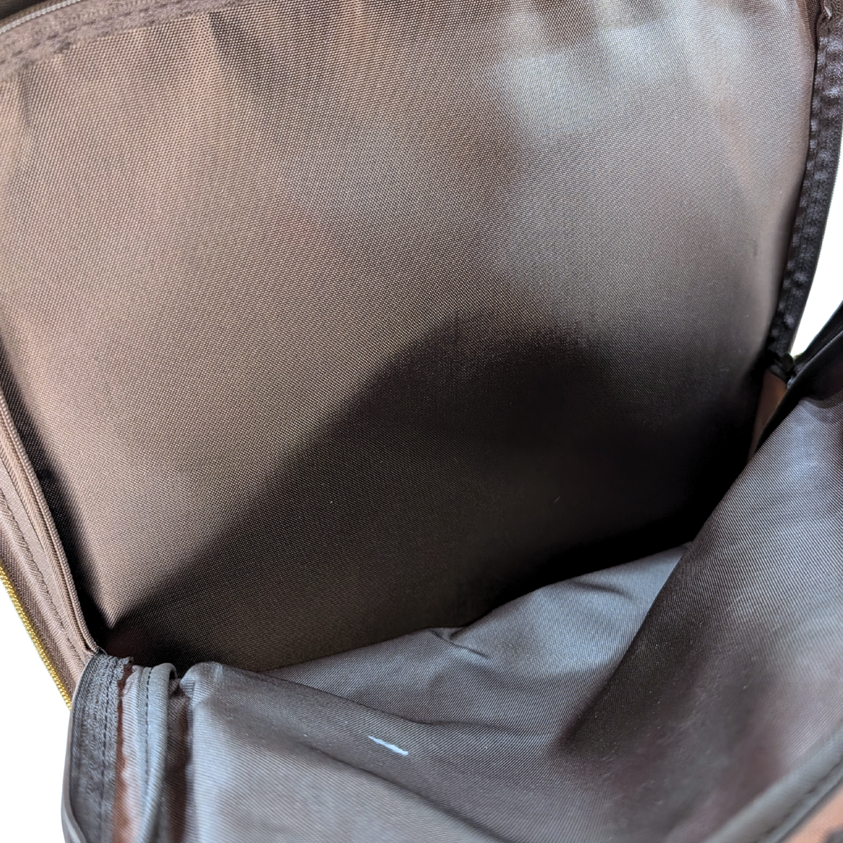 Louis Vuitton Pegase 55 Suitcase Monogram