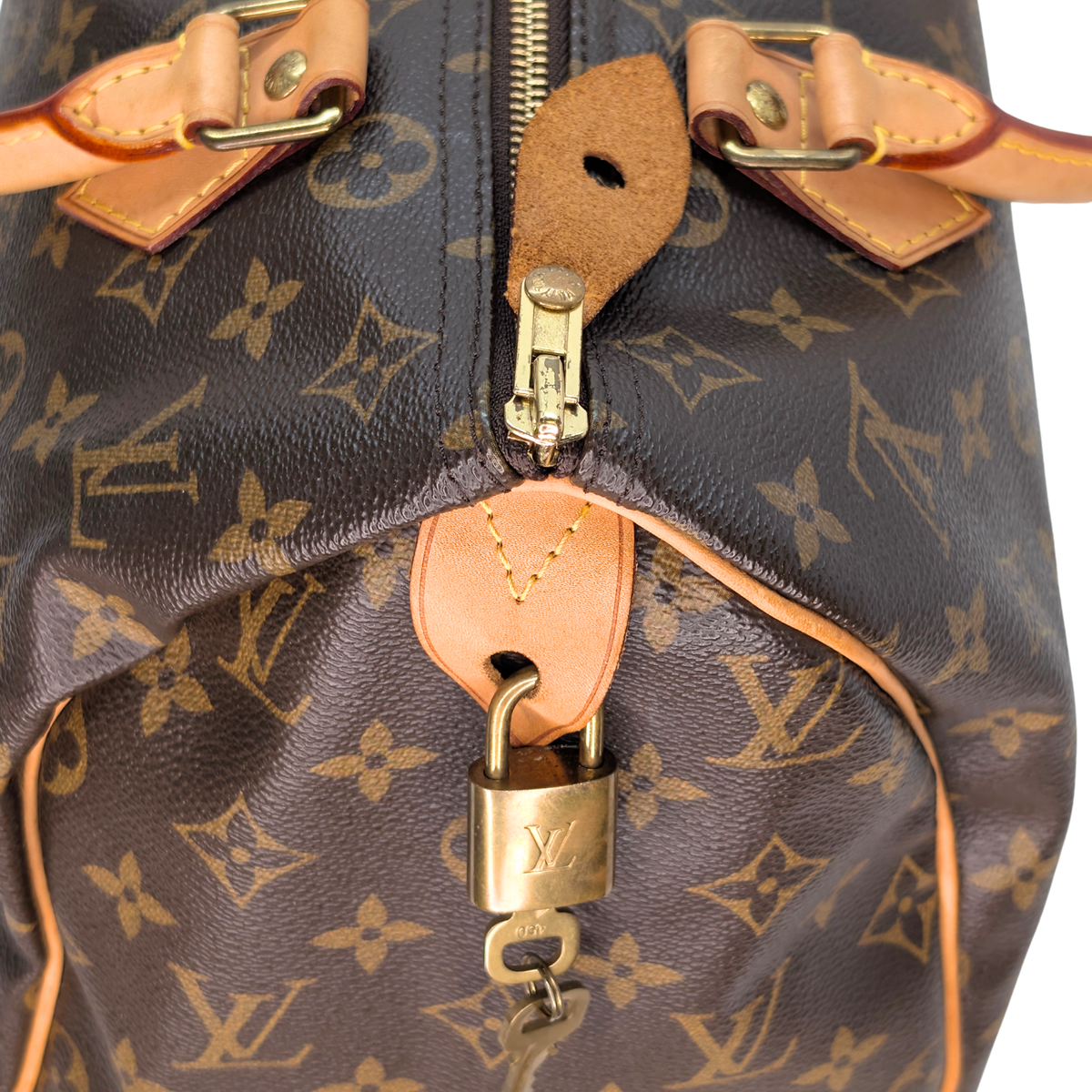 Louis Vuitton Speedy 30 Monogram Bag