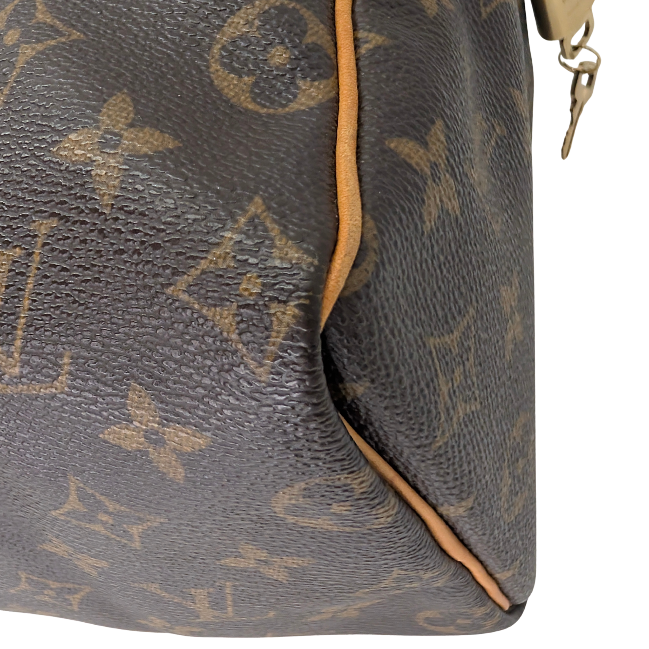 Louis Vuitton Speedy 25 Monogram Handbag