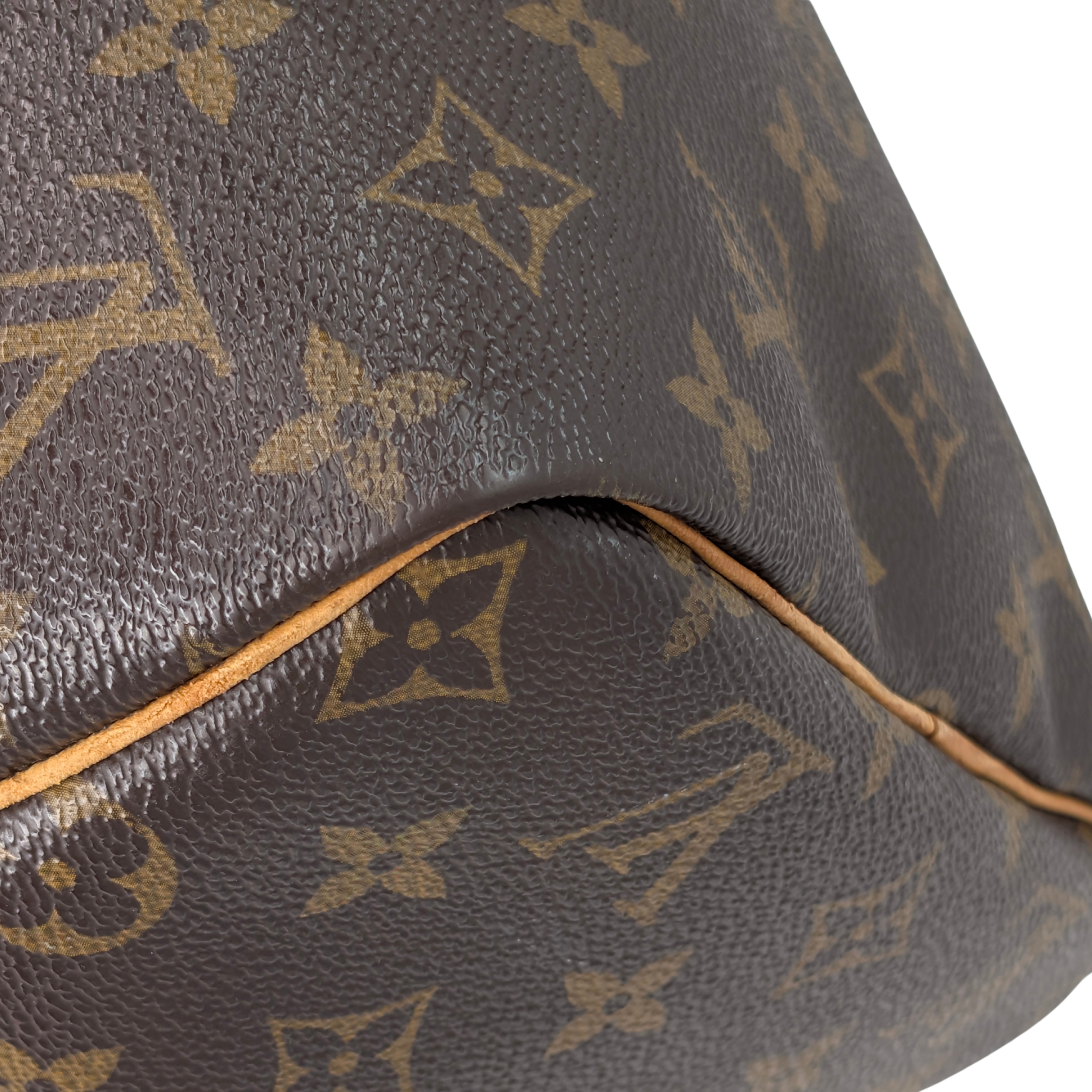Louis Vuitton Monogram Speedy 30 Bag